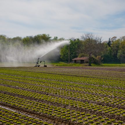 La Haute-Garonne est en restriction d'usage de l'eau depuis le 20 mai dernier.