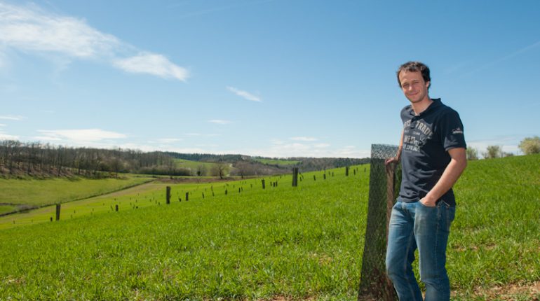 Arbres et Paysages d'Autan a déjà participé à la mise en place de plusieurs parcelles agroforestières dans le département