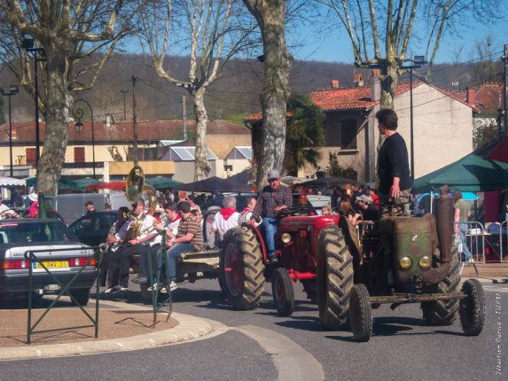 L'incontournable défilé de vieux tracteurs à Salies.