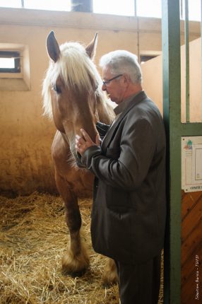 Daniel Saint-Paul, éleveur de chevaux de sport à Castillon St-Martory, préside l’association qui a repris la gestion du centre technique de monte de Saint Gaudens.