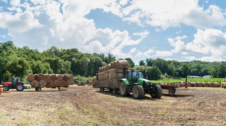 Une soixantaine d'éleveurs du canton a contribué à rassembler 450 bottes de foin, ce 8 août.