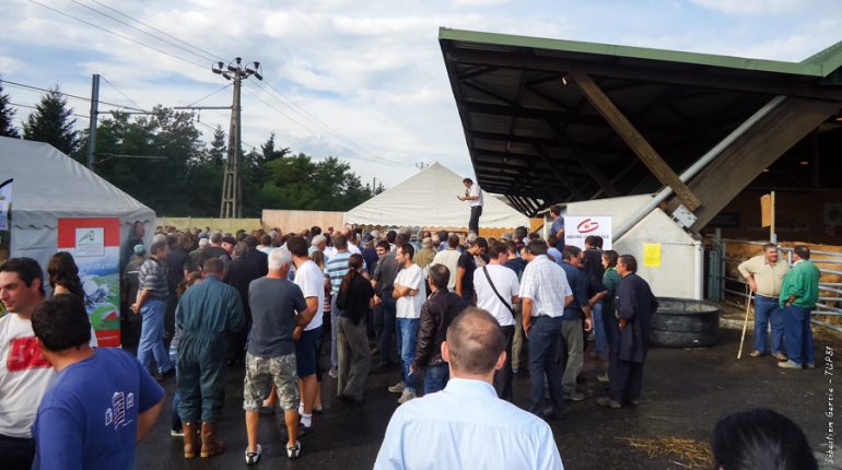 Beaucoup de monde pour la vente aux enchères des championnes.