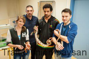 Audrey, Anthony et Ludovic posent avec leurs serpents, devant Fabrice Ami, spécialiste des reptiles et maitre d'apprentissage.