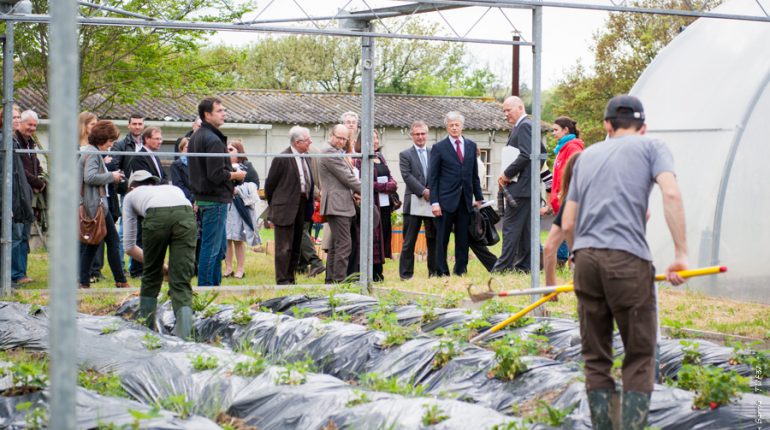 Le préfet de région, Henri-Michel Comet, est allé à la rencontre des étudiants des différentes filières agricoles et agroalimentaires.