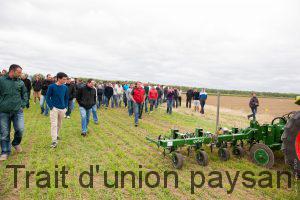 La bineuse à céréales de précision observée sous toutes les coutures.