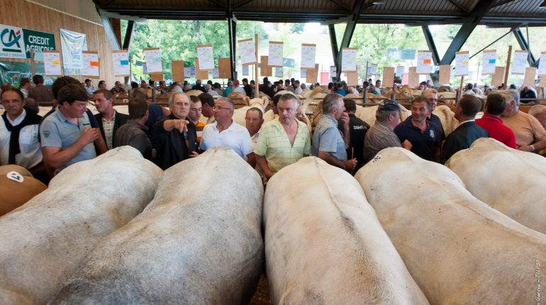 Grosse organisation pour gérer l'arrivée de plus de 200 animaux.