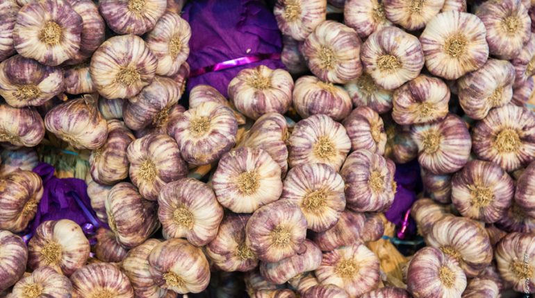 L'ail Violet de Cadours n'a jamais été aussi près de la reconnaissance.