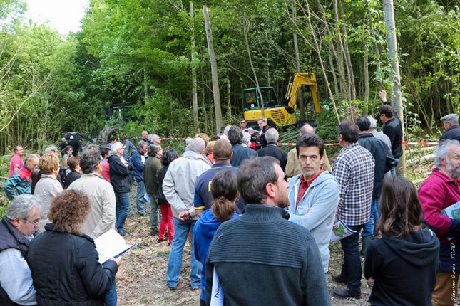 Une visite terrain pour voir le résultat d’un reboisement vieux de 20 ans.