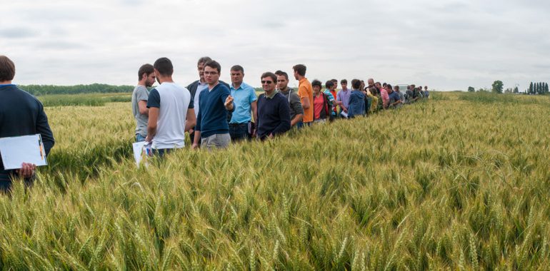 Des expérimentations qui mêlent les mondes de l’enseignement agricole, de la recherche agronomique et des agriculteurs