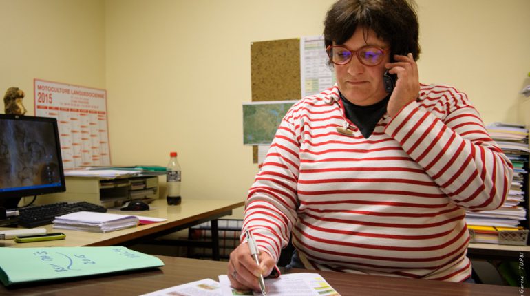 Sylvie Nicolier, animatrice du réseau BSV Maïs, pendant un Comité de rédaction téléphonique.