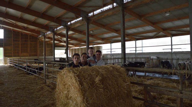 (g. à dr;) Paul Roux, Quentin Payrastre, Baptiste Mur et Alexandre Didier, 4 jeunes décidés à faire avancer la compréhension du pointage animal.