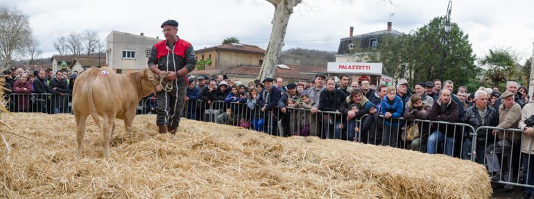 Beaucoup de monde pour assister à la vente aux enchères des meilleurs animaux du concours