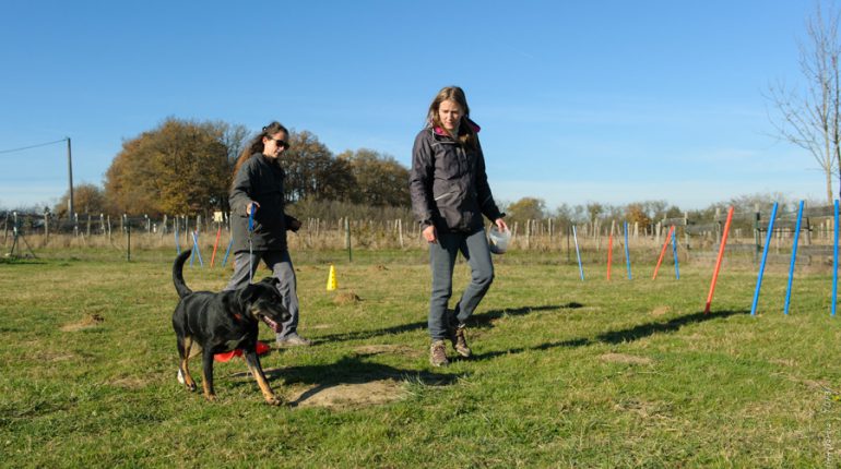 Cécile Demblans (à droite) rencontre un beau succès avec ses ateliers individuels ou collectifs d'éducation canine.