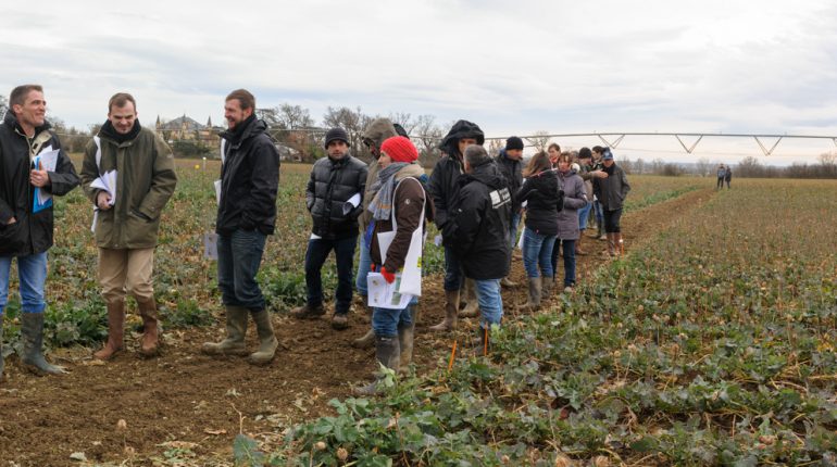 Malgré le froid et le vent, les participants n'ont pas perdu une miette de la présentation des résultats des essais de Terres Inovia