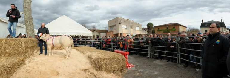 La vente aux enchères attire toujours autant de monde.