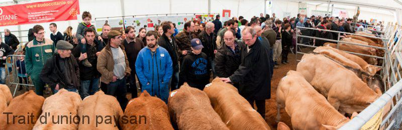 Après les enchères, la vente à la barre a aussi été un franc succès