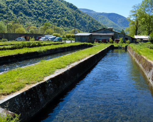 190514-pisciculture-Viviers-du-Comminges-22