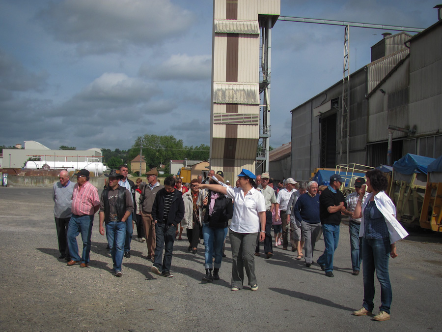 Cliquez sur la photo pour agrandir gascoval, coopérative, 100 ans, Lombez, élevage