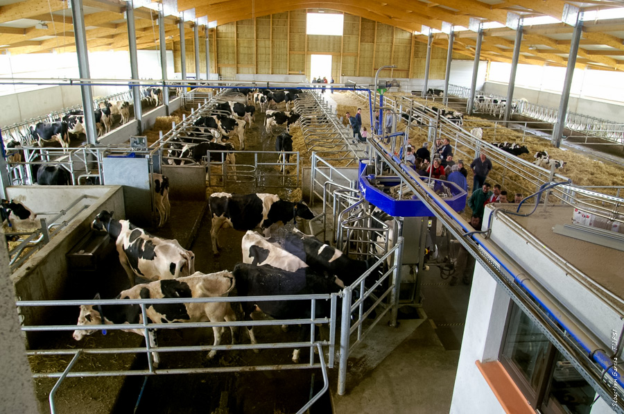 Cliquez sur la photo pour agrandir robot de traite, Sébastien Albouy, Eric Gesta, SOAL, Trait d'union paysan, tup, tup31, élevage, céréales, viticulture, vaches, bovins, Toulouse, ovins, lait, viande, chevaux, brebis, chèvres, environnement, paysans, Haute-Garonne, chambre d'agriculture, agriculture, photos ©Sébastien Garcia