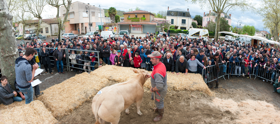 Vide-grange, Nicolas Artigues, Salies du Salat, engraissement, concours de veaux fermiers, Trait d'union paysan, tup, tup31, élevage, céréales, viticulture, vaches, bovins, Toulouse, ovins, lait, viande, chevaux, brebis, chèvres, environnement, paysans, Haute-Garonne, chambre d'agriculture, Pyrénées, agriculture, photos ©Sébastien Garcia