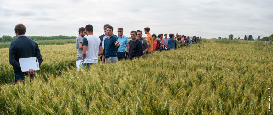 agroécologie, Auzeville, écophytos, phytosanitaires, expérimentations, biocontrôle, biostimulants, Sophie Rousval, Frédéric Robert, Trait d'union paysan, tup, tup31, élevage, céréales, viticulture, vaches, bovins, Toulouse, ovins, lait, viande, chevaux, brebis, chèvres, environnement, paysans, Haute-Garonne, chambre d'agriculture, Pyrénées, agriculture, photos ©Sébastien Garcia