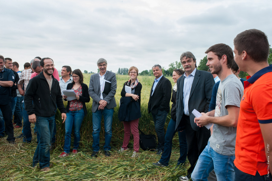 Cliquez sur la photo pour accéder au diaporama agroécologie, Auzeville, écophytos, phytosanitaires, expérimentations, biocontrôle, biostimulants, Sophie Rousval, Frédéric Robert, Trait d'union paysan, tup, tup31, élevage, céréales, viticulture, vaches, bovins, Toulouse, ovins, lait, viande, chevaux, brebis, chèvres, environnement, paysans, Haute-Garonne, chambre d'agriculture, Pyrénées, agriculture, photos ©Sébastien Garcia