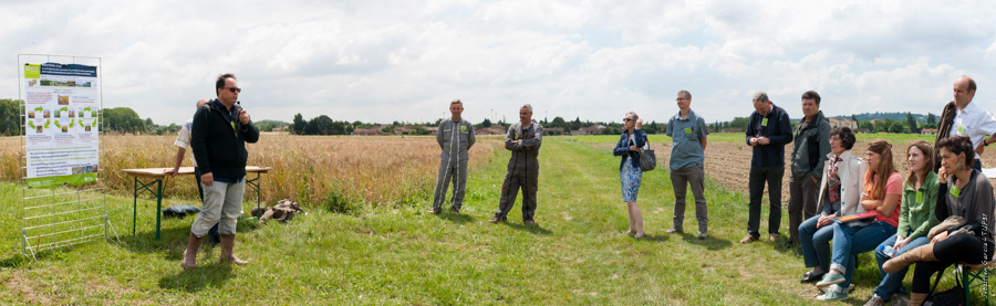 agroécologie, cultures associées, drone, Eric Justes, INRA, Trait d'union paysan, tup, tup31, élevage, céréales, viticulture, vaches, bovins, Toulouse, ovins, lait, viande, chevaux, brebis, chèvres, environnement, paysans, Haute-Garonne, chambre d'agriculture, Pyrénées, agriculture, photos ©Sébastien Garcia
