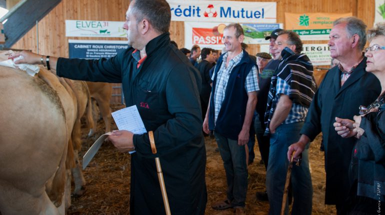 Yves Soum (au centre), lors du Concours de bovins de boucherie 2015.