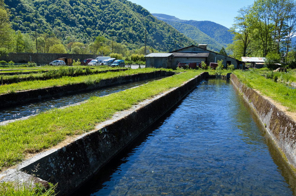 190514-pisciculture-Viviers-du-Comminges-22